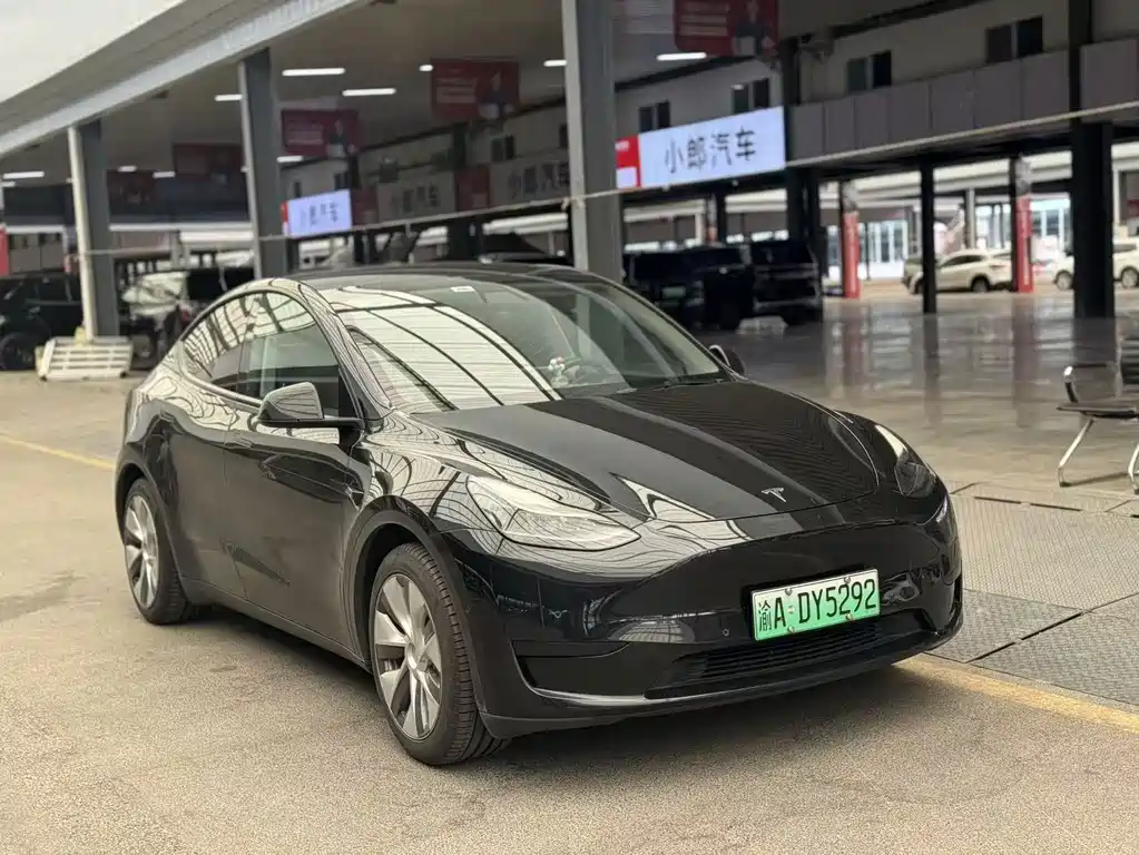 Tesla Model Y — фото 3