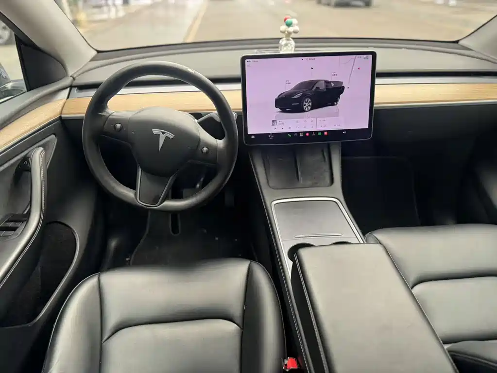 Tesla Model Y — фото 6