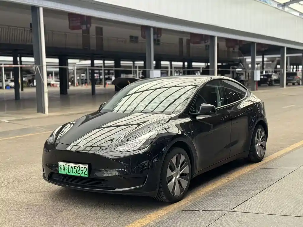 Tesla Model Y — фото 1