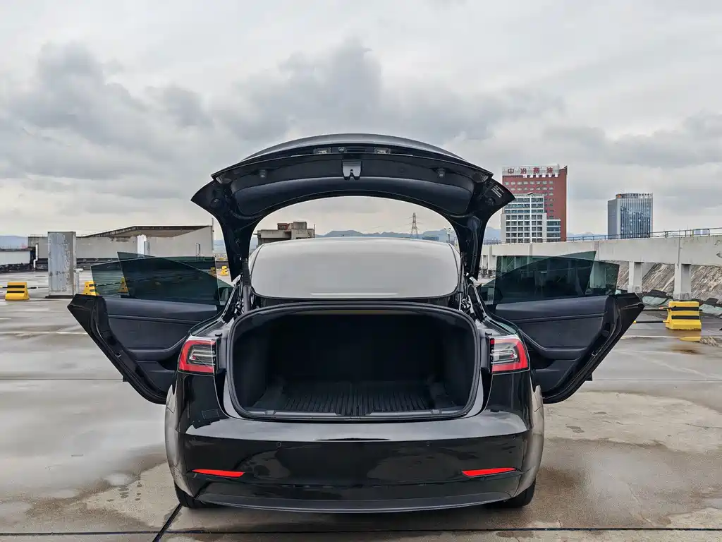 Tesla Model 3 — фото 10