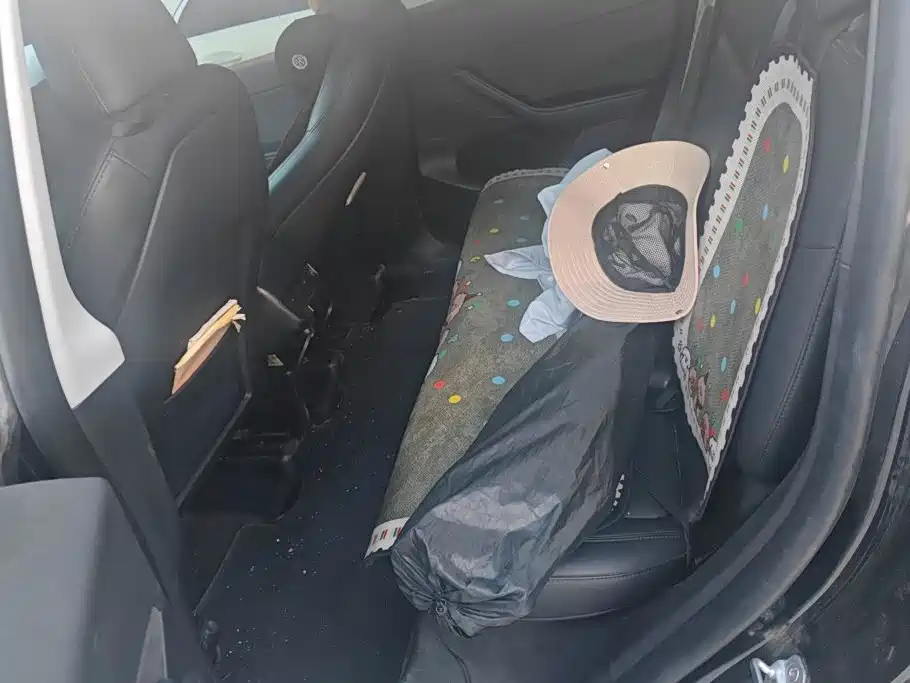 Tesla Model Y — фото 11