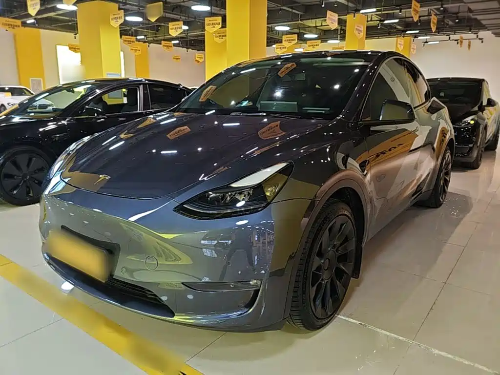 Tesla Model Y — фото 2