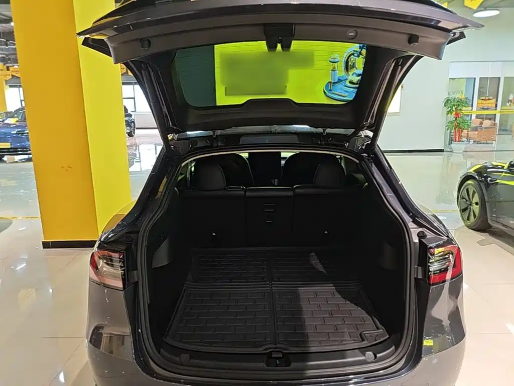 Tesla Model Y — фото 19