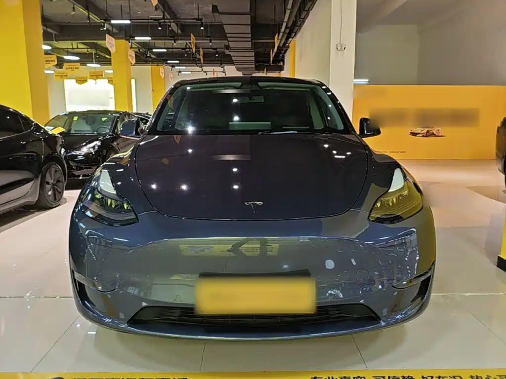 Tesla Model Y — фото 3