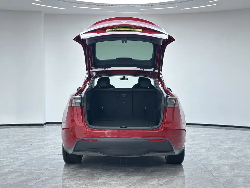 Tesla Model Y — фото 11