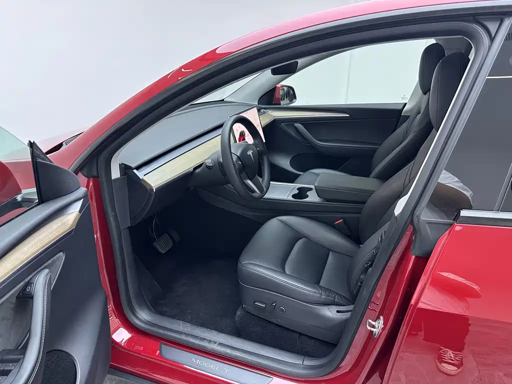 Tesla Model Y — фото 16