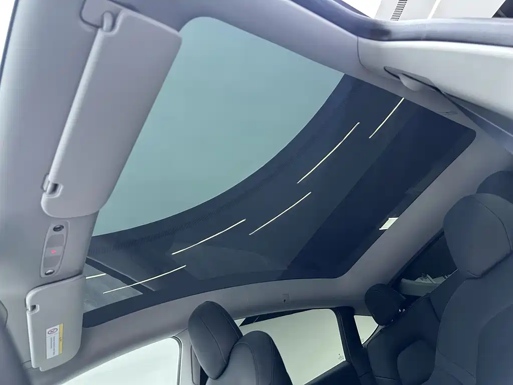 Tesla Model Y — фото 19
