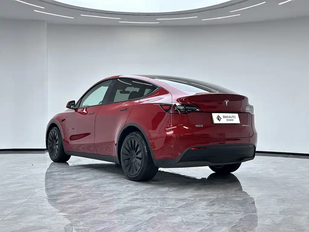 Tesla Model Y — фото 6