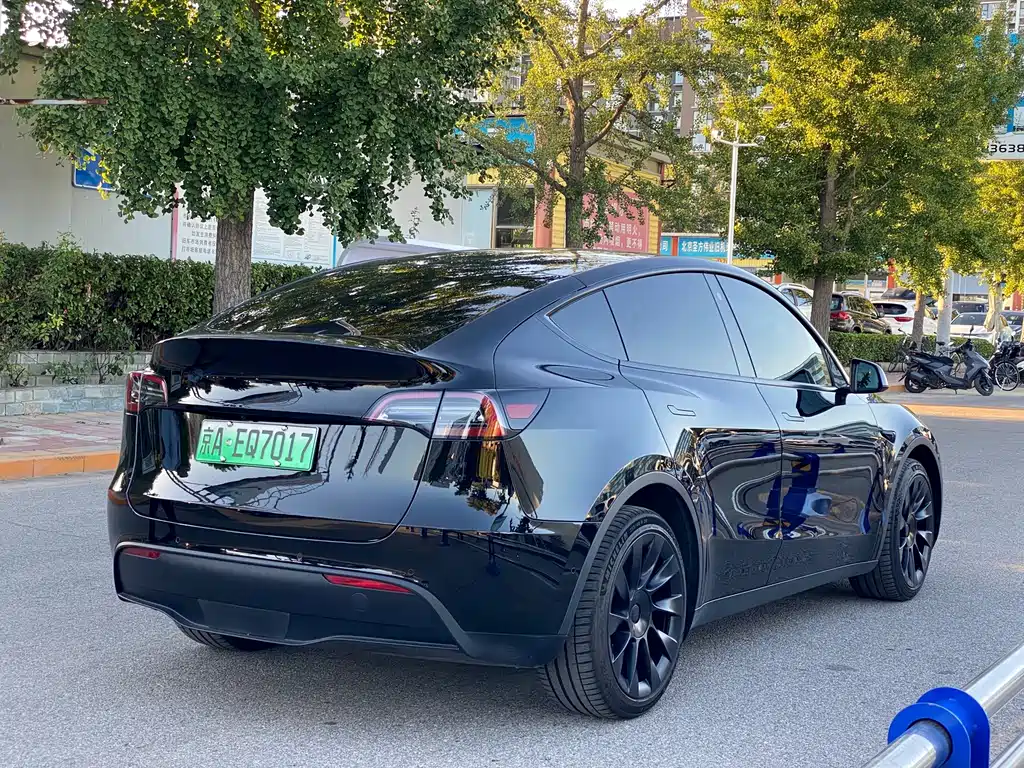 Tesla Model Y — фото 2