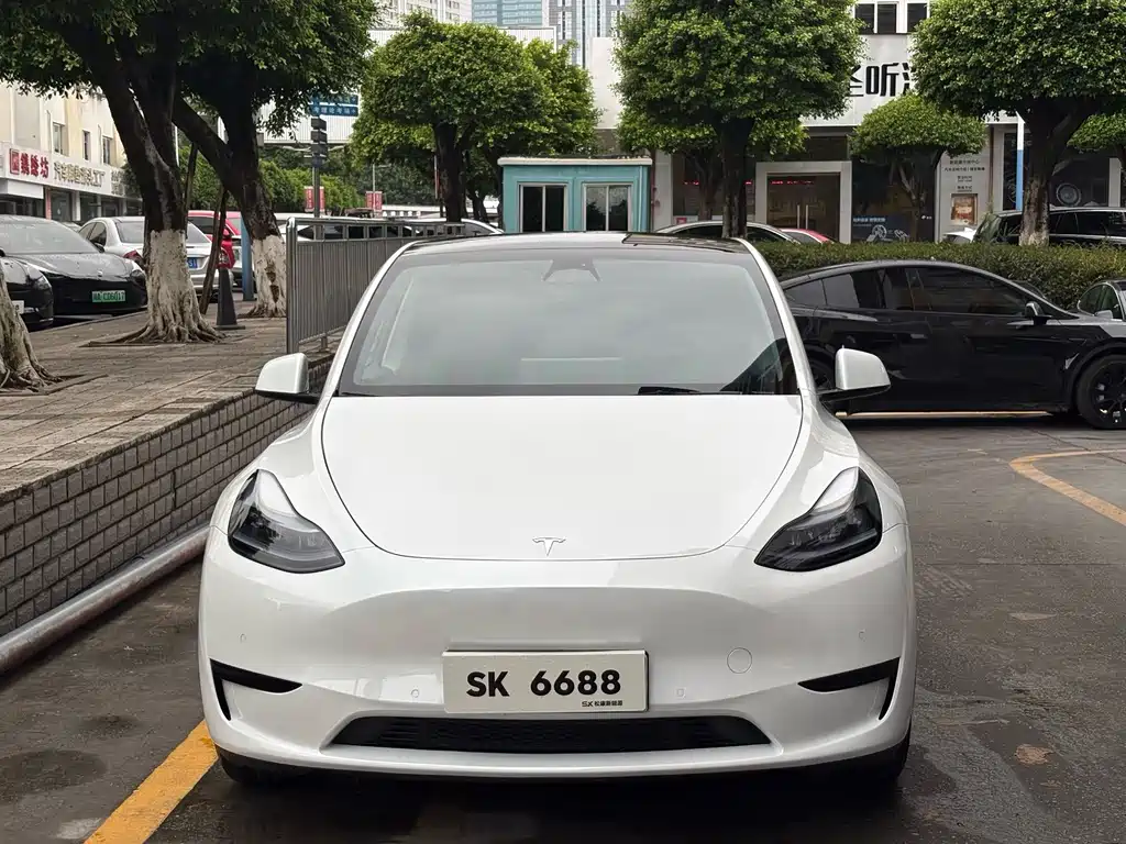 Tesla Model Y — фото 2
