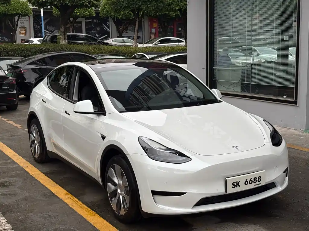 Tesla Model Y — фото 3