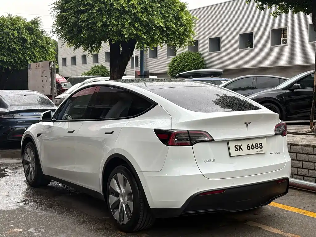 Tesla Model Y — фото 5