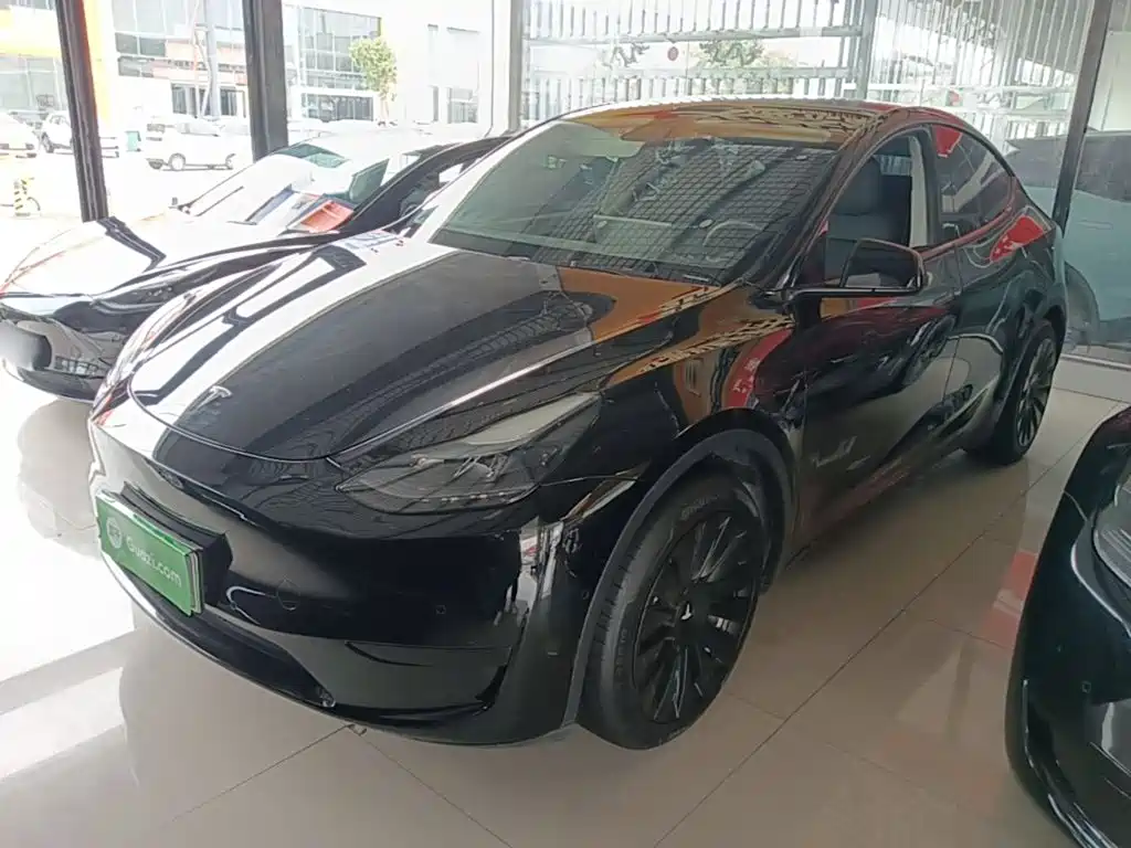 Tesla Model Y — фото 2