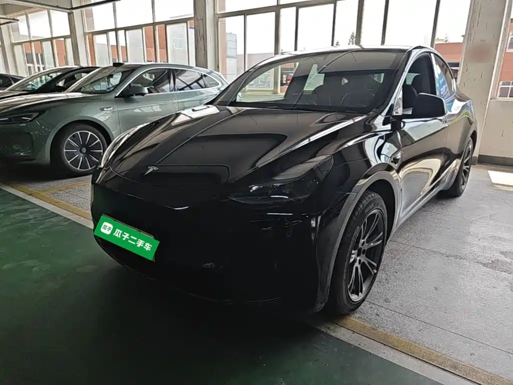 Tesla Model Y — фото 2