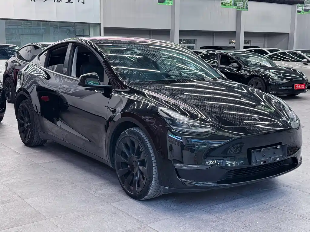Tesla Model Y — фото 3