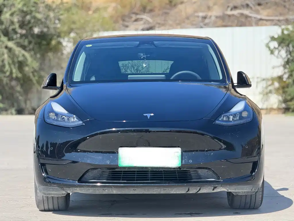 Tesla Model Y — фото 2