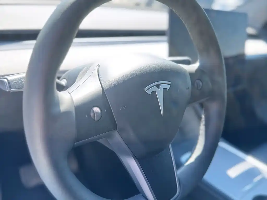Tesla Model Y — фото 11