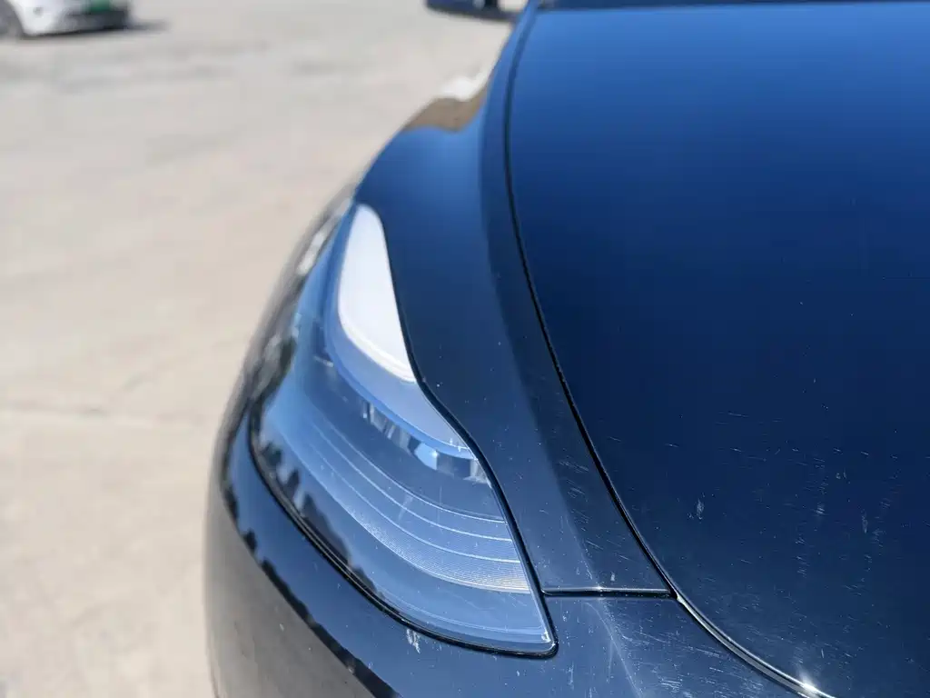 Tesla Model Y — фото 19