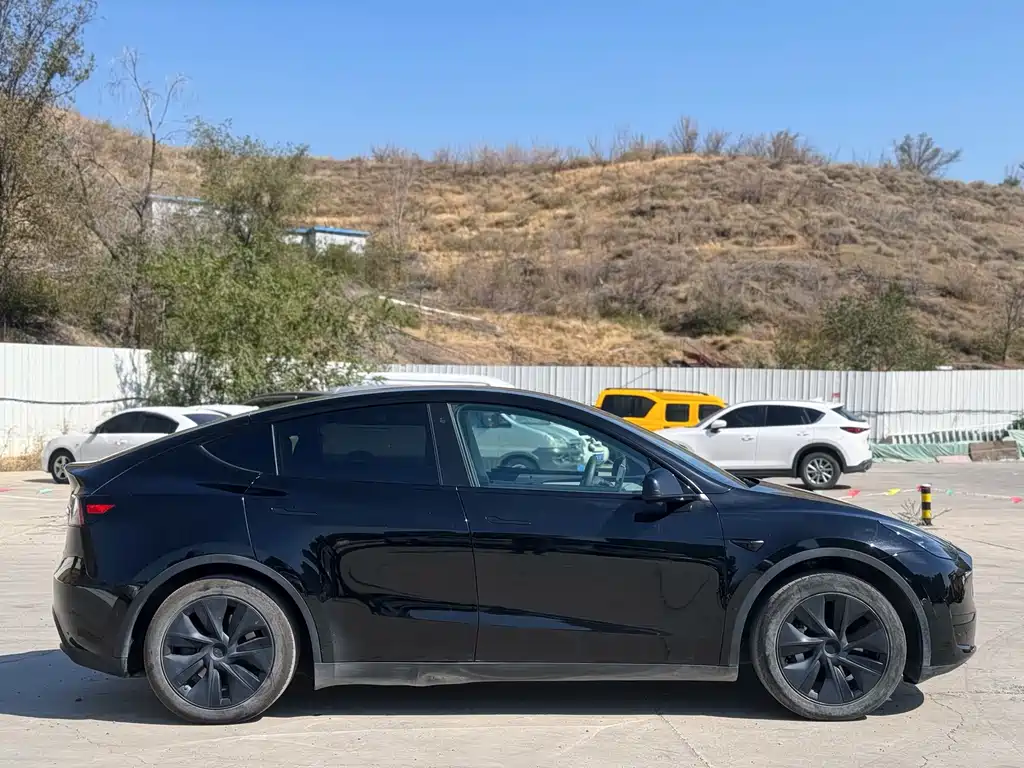 Tesla Model Y — фото 20