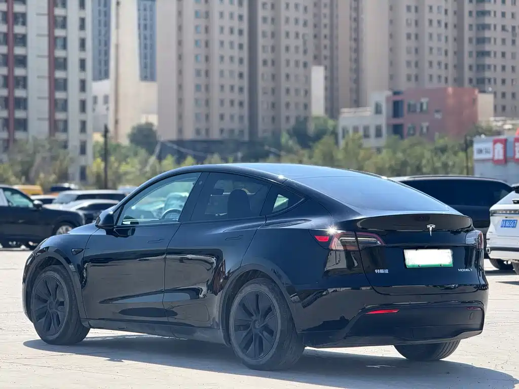 Tesla Model Y — фото 7