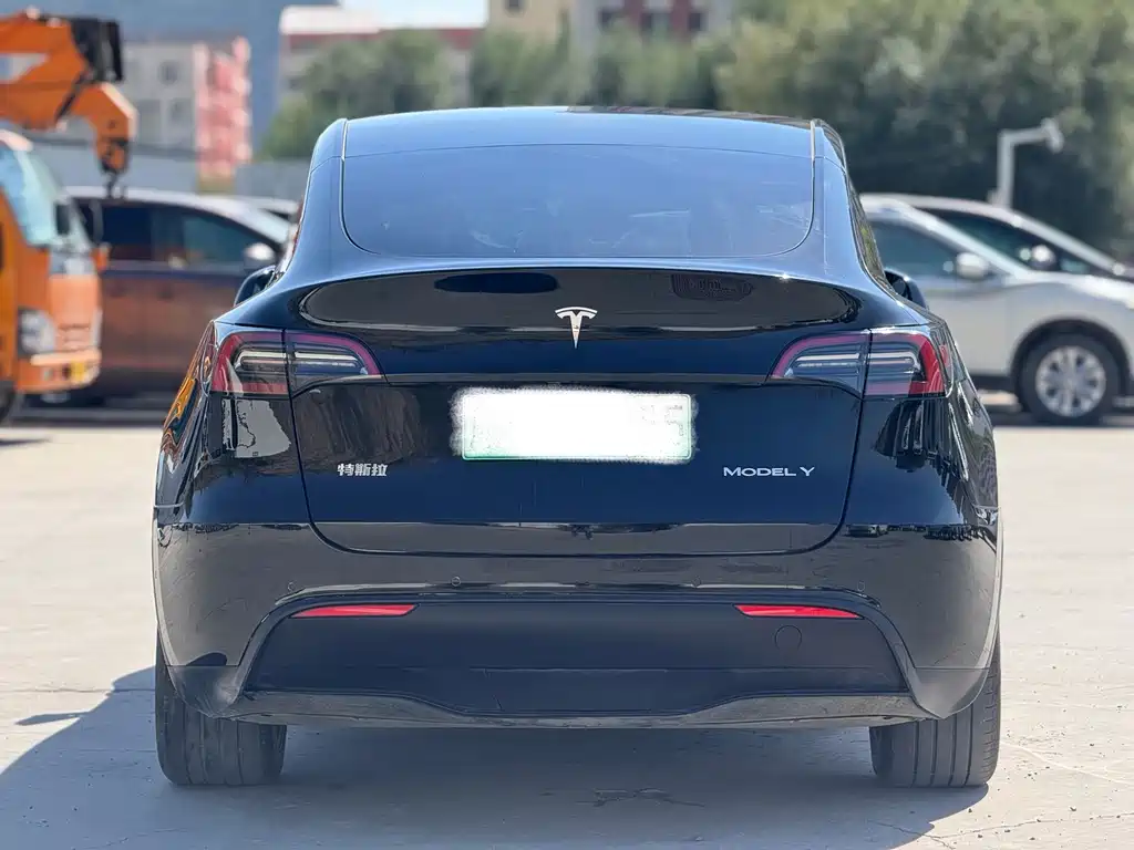Tesla Model Y — фото 8