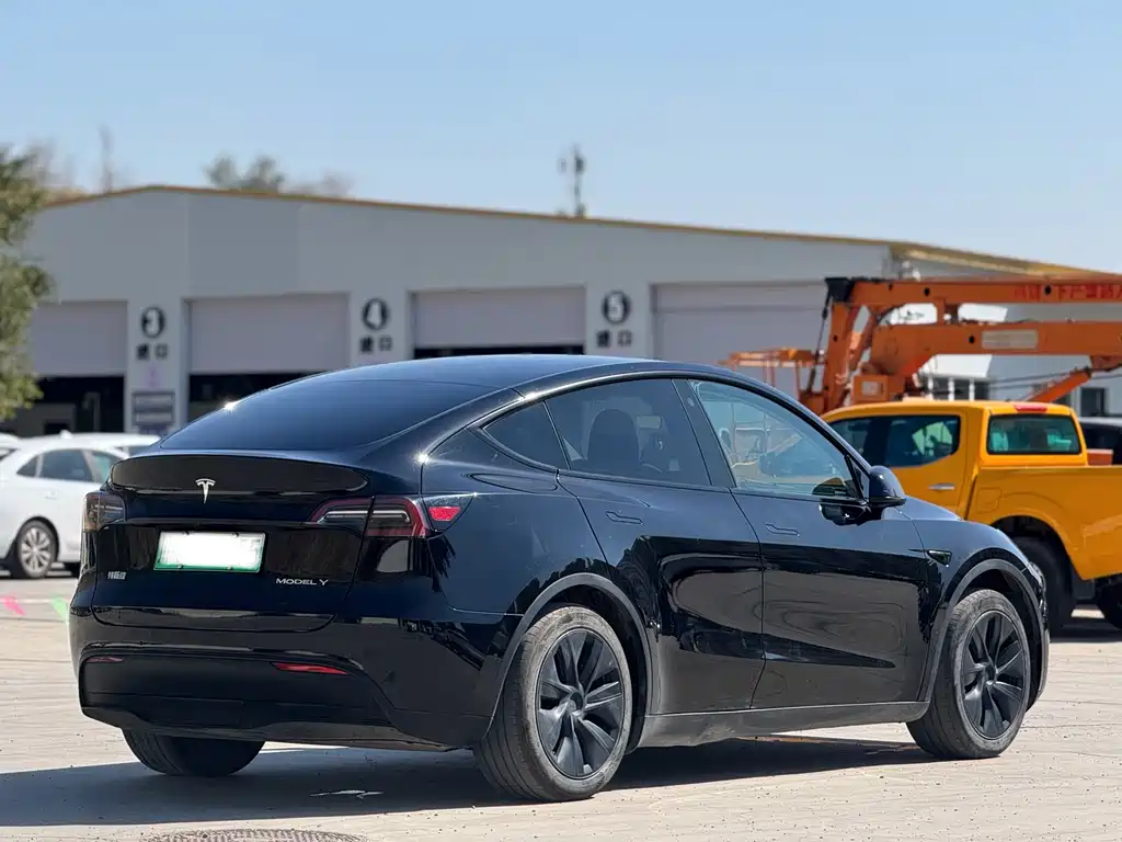Tesla Model Y — фото 9