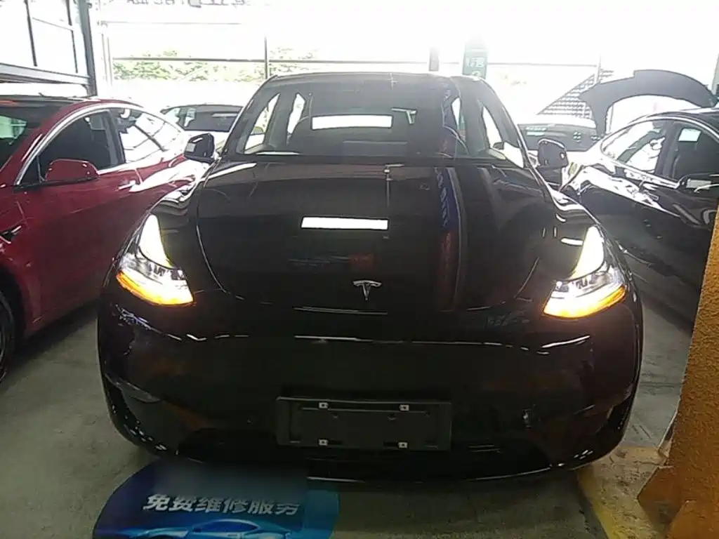 Tesla Model Y — фото 3