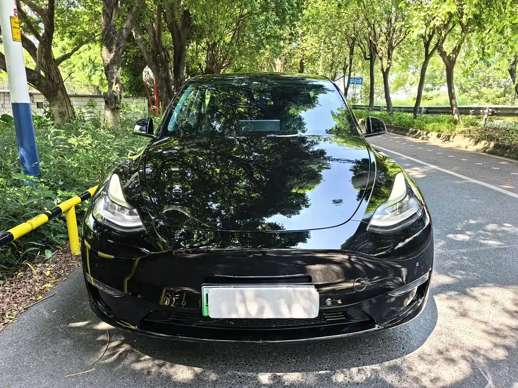 Tesla Model Y — фото 2