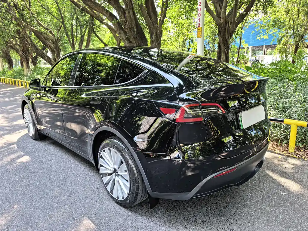 Tesla Model Y — фото 5