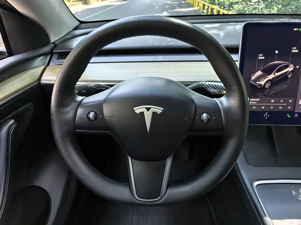 Tesla Model Y — фото 10