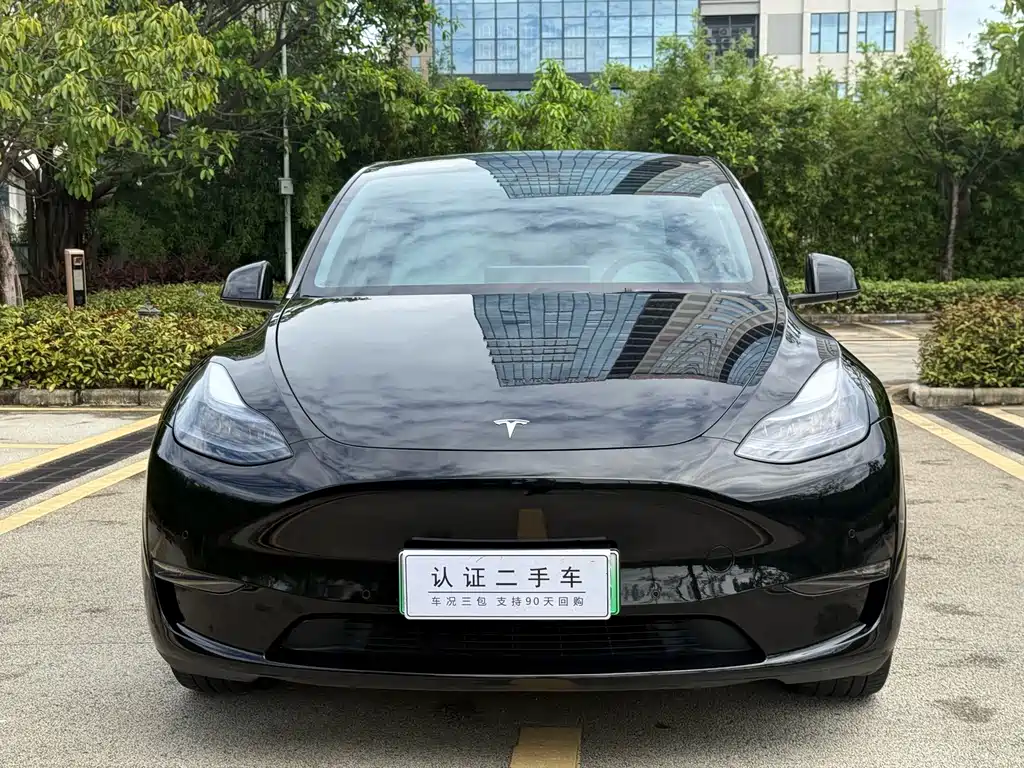 Tesla Model Y — фото 2