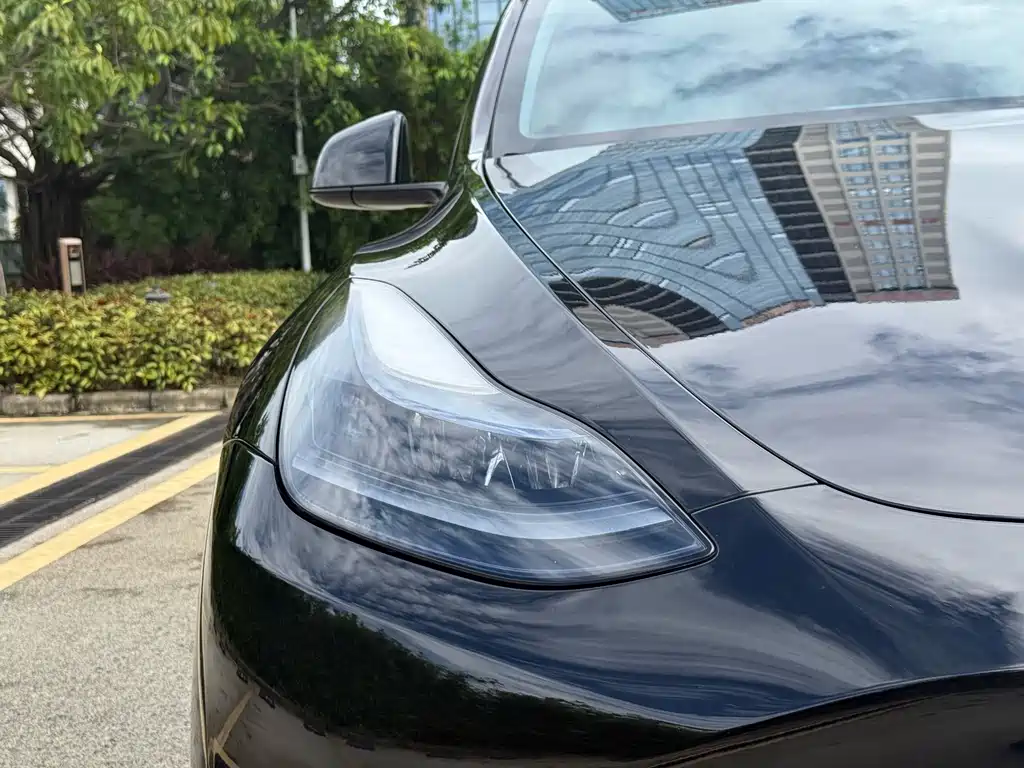 Tesla Model Y — фото 11