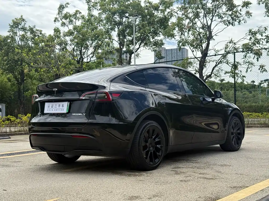 Tesla Model Y — фото 14