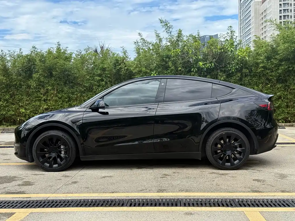 Tesla Model Y — фото 15