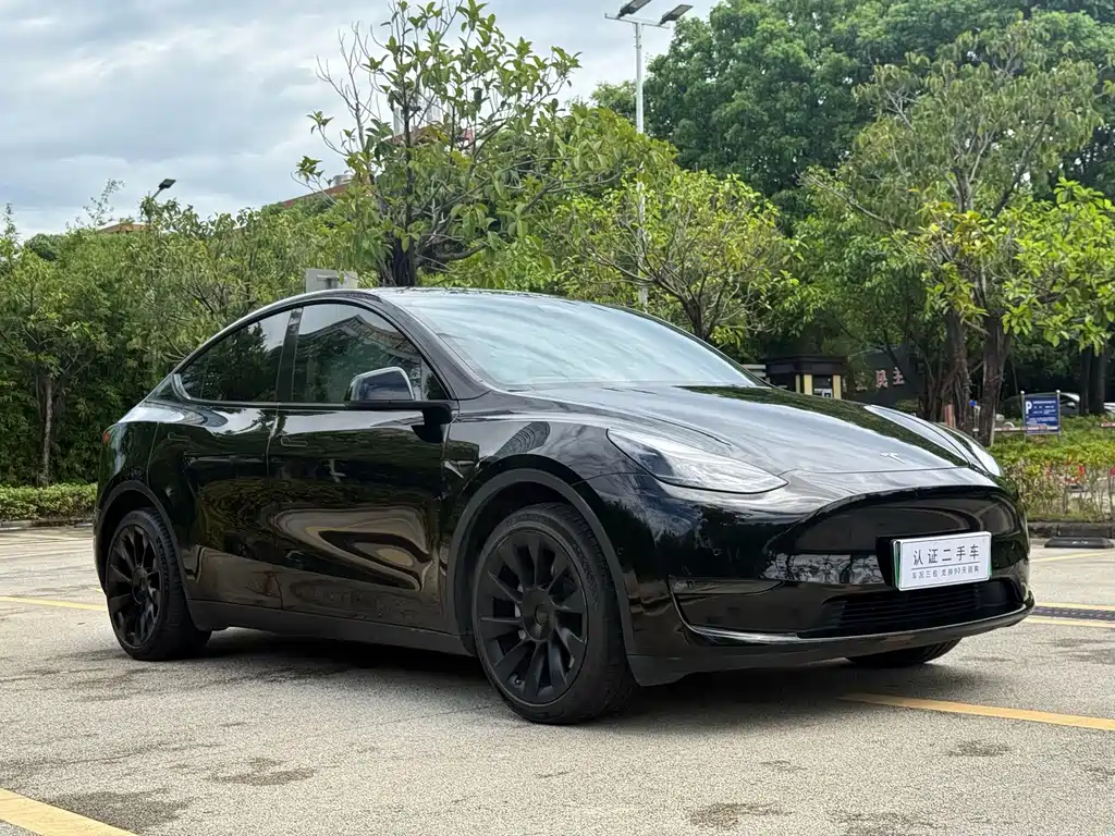 Tesla Model Y — фото 3