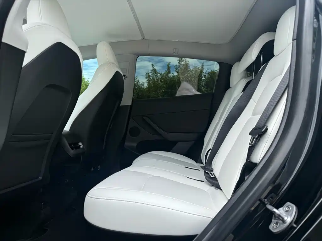 Tesla Model Y — фото 8