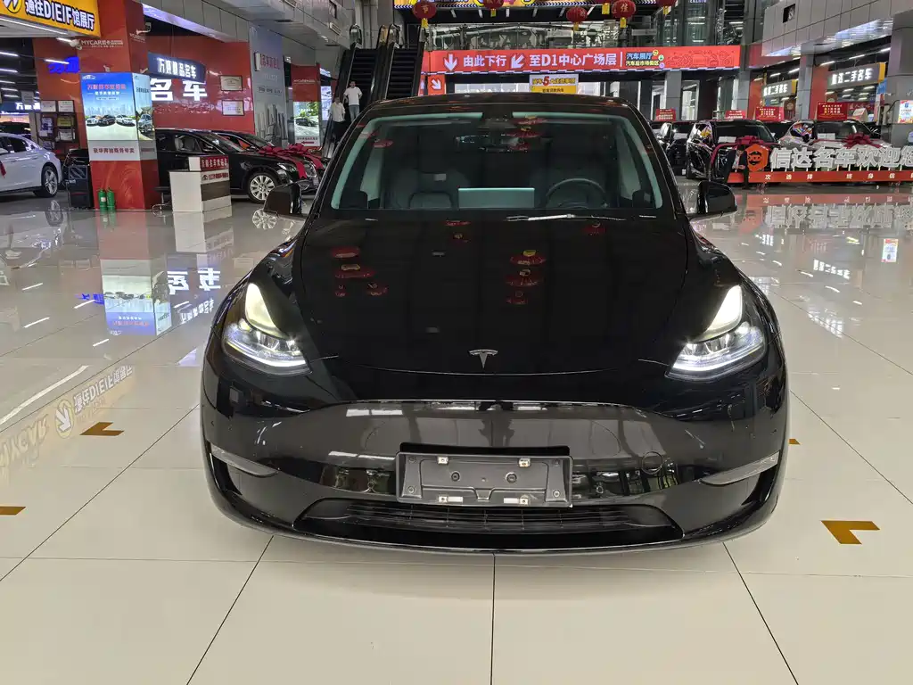 Tesla Model Y — фото 2