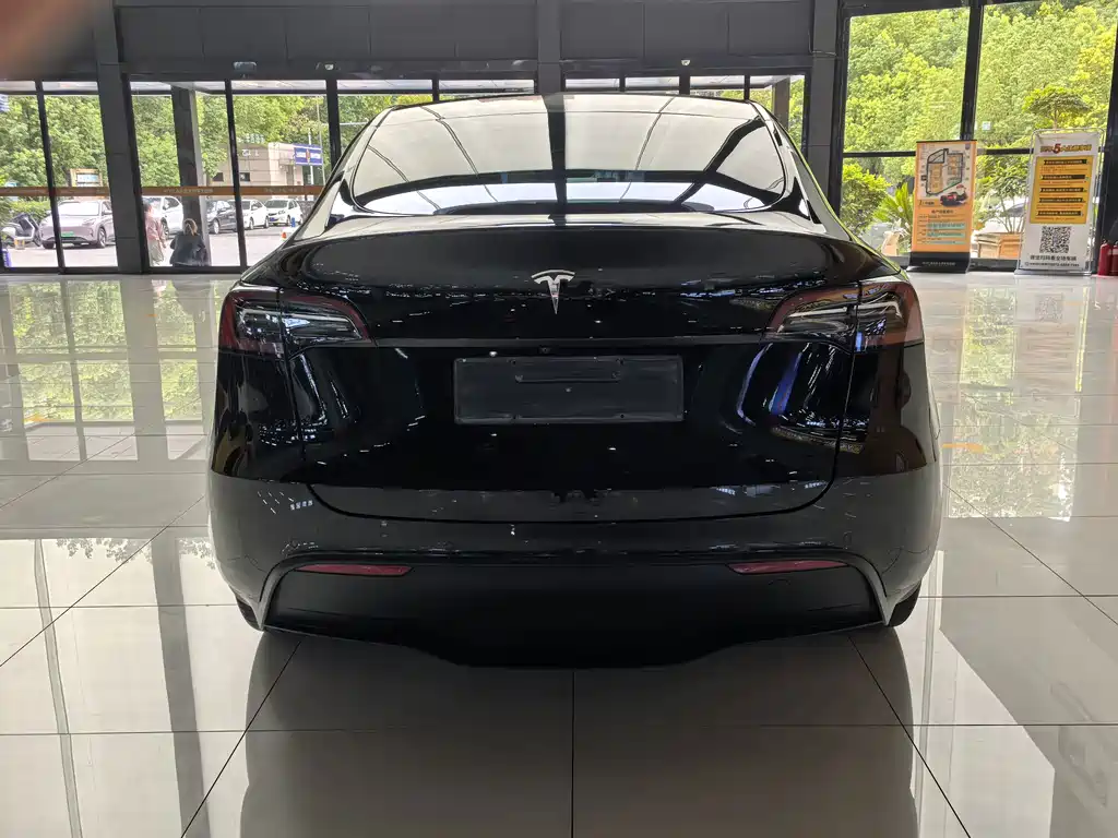 Tesla Model Y — фото 8