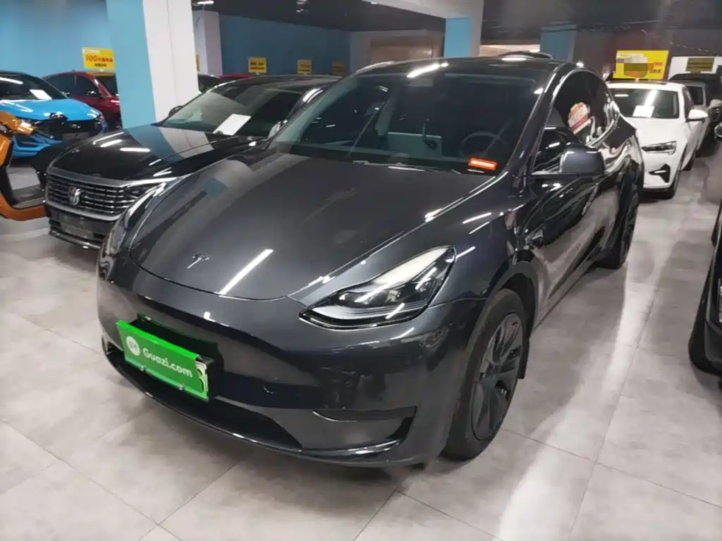 Tesla Model Y — фото 2