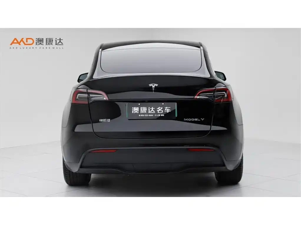 Tesla Model Y — фото 4