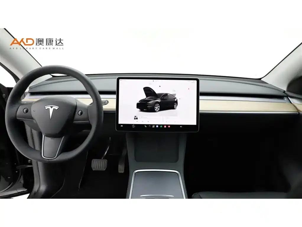 Tesla Model Y — фото 5