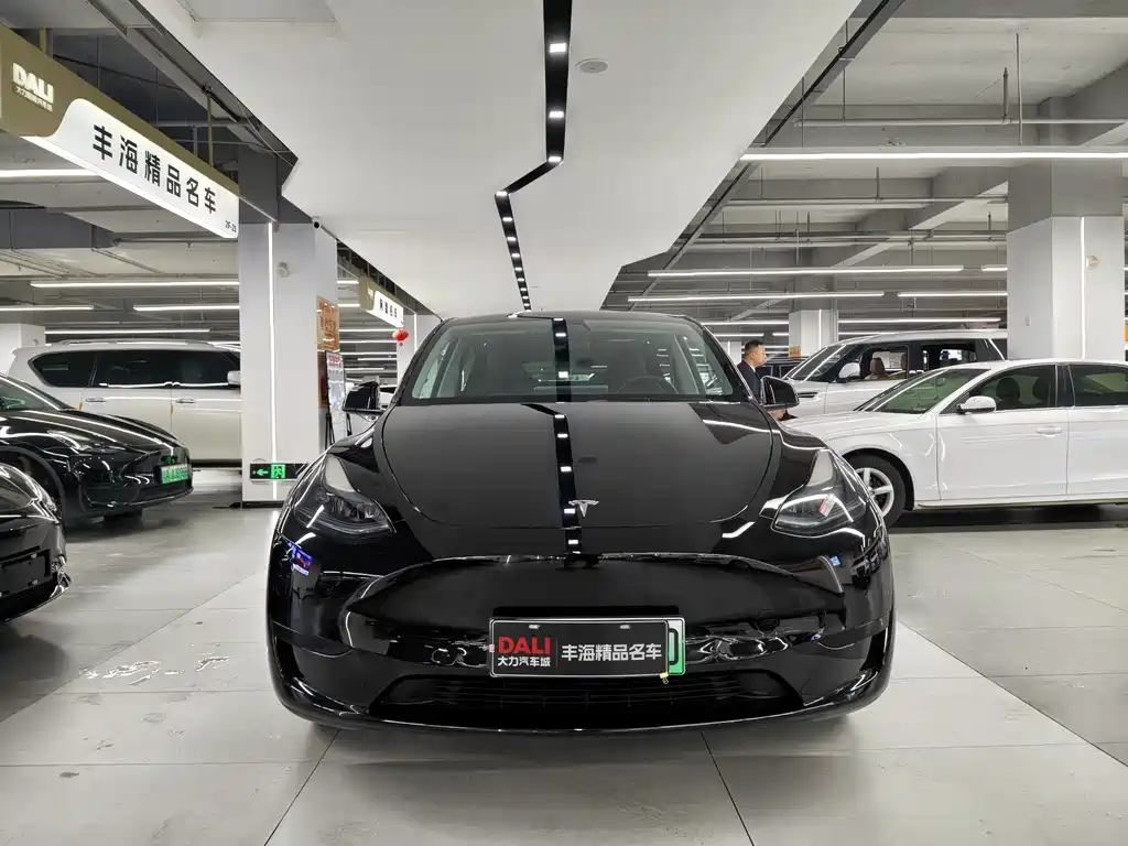 Tesla Model Y — фото 2