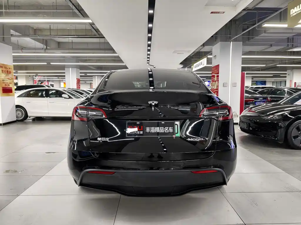 Tesla Model Y — фото 13