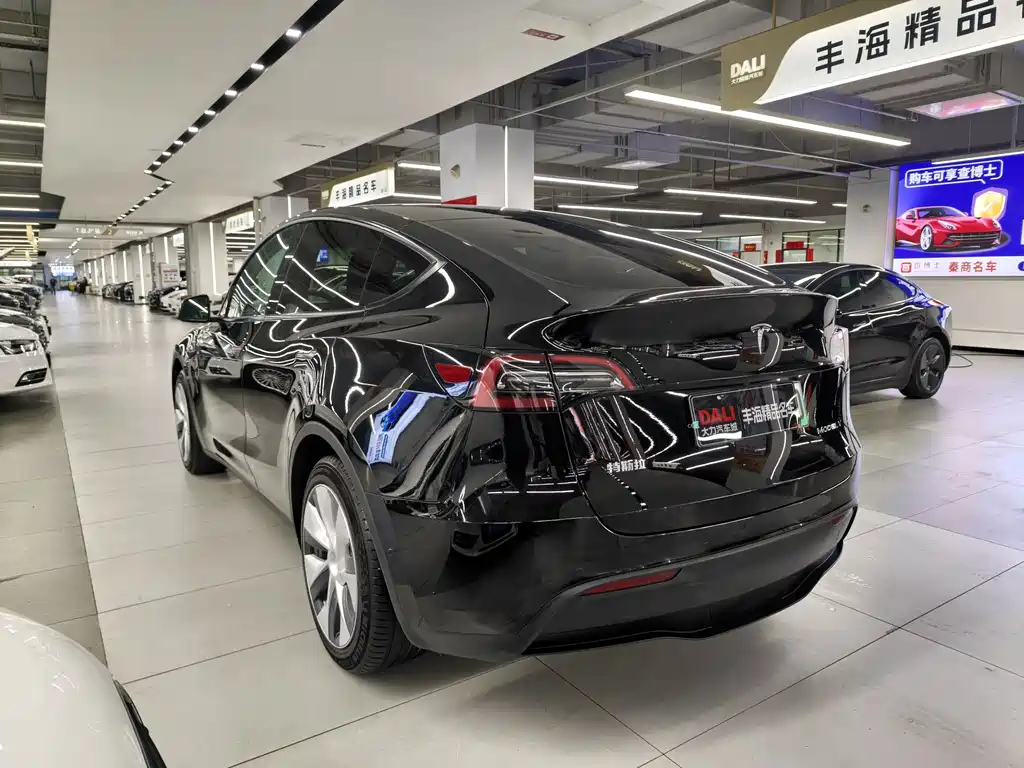 Tesla Model Y — фото 14