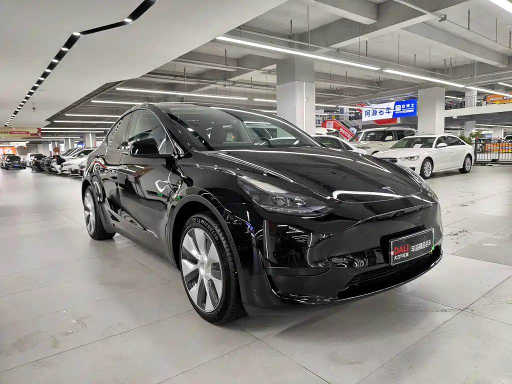 Tesla Model Y — фото 3