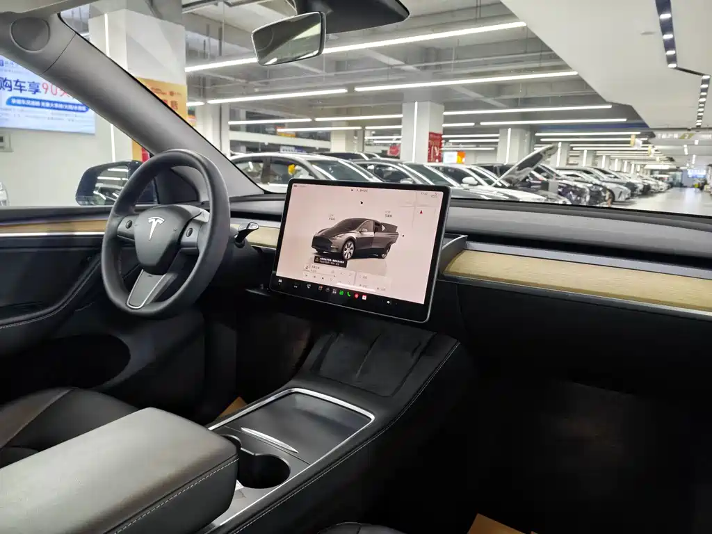 Tesla Model Y — фото 9