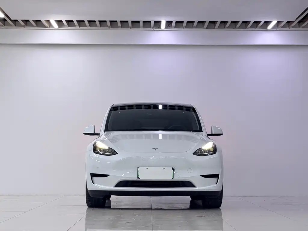 Tesla Model Y — фото 2