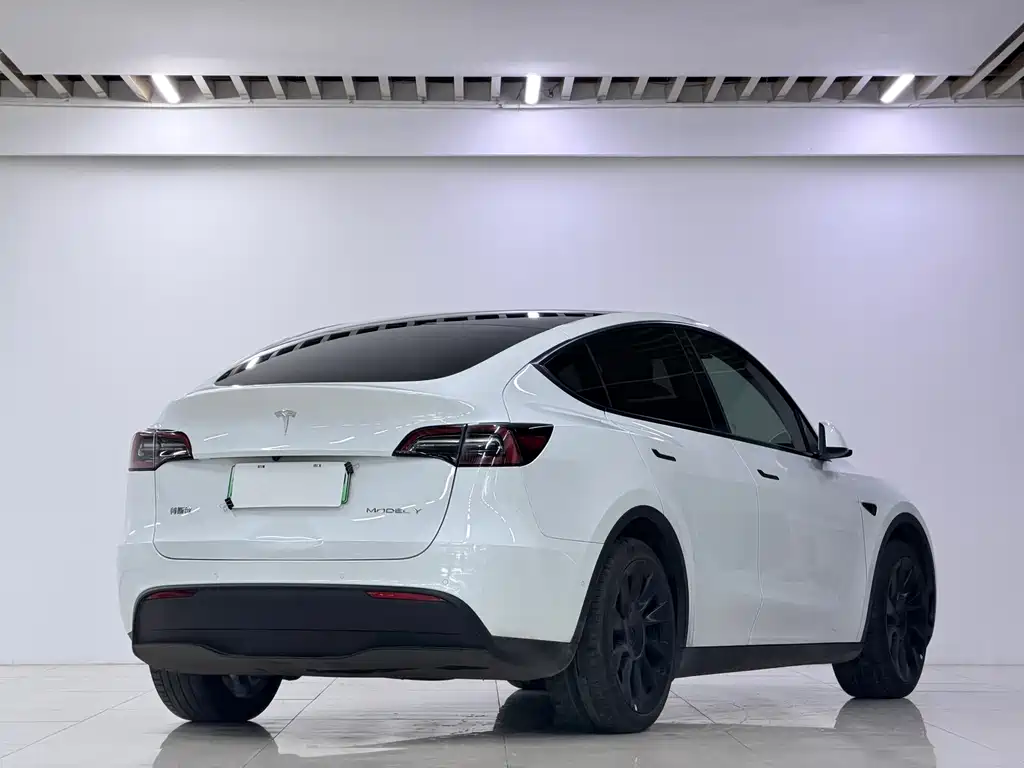 Tesla Model Y — фото 11
