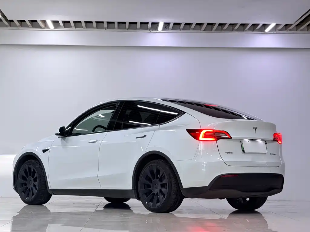 Tesla Model Y — фото 13