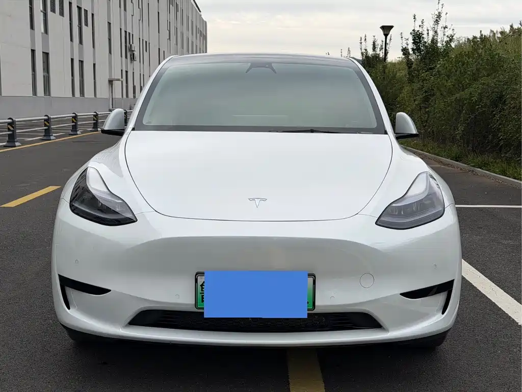 Tesla Model Y — фото 2